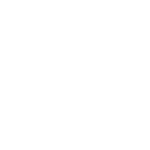 Inicio 43 RONY PALMS